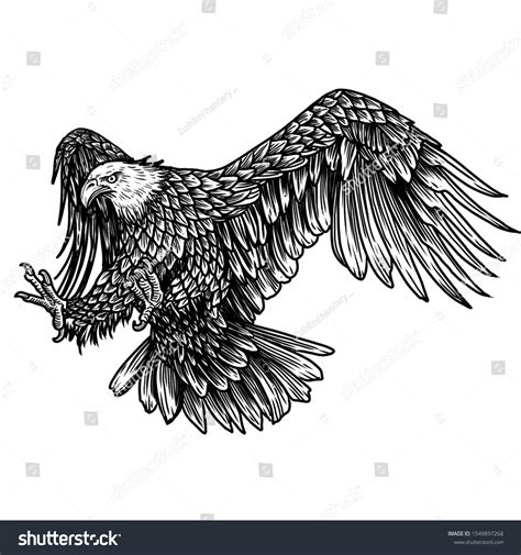 black and white eagle tattoo|eagle tattoo art.